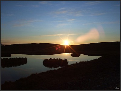 in to the sun-wz-r.jpg