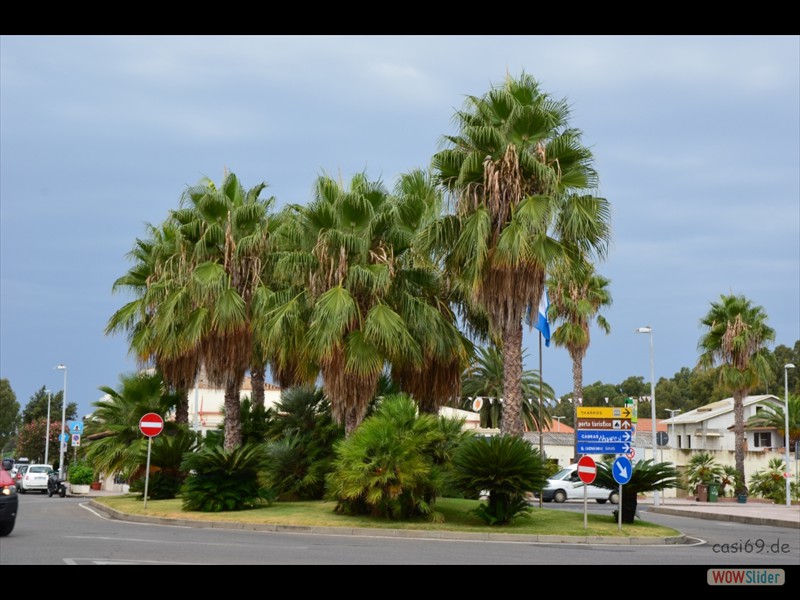 DSC_9050